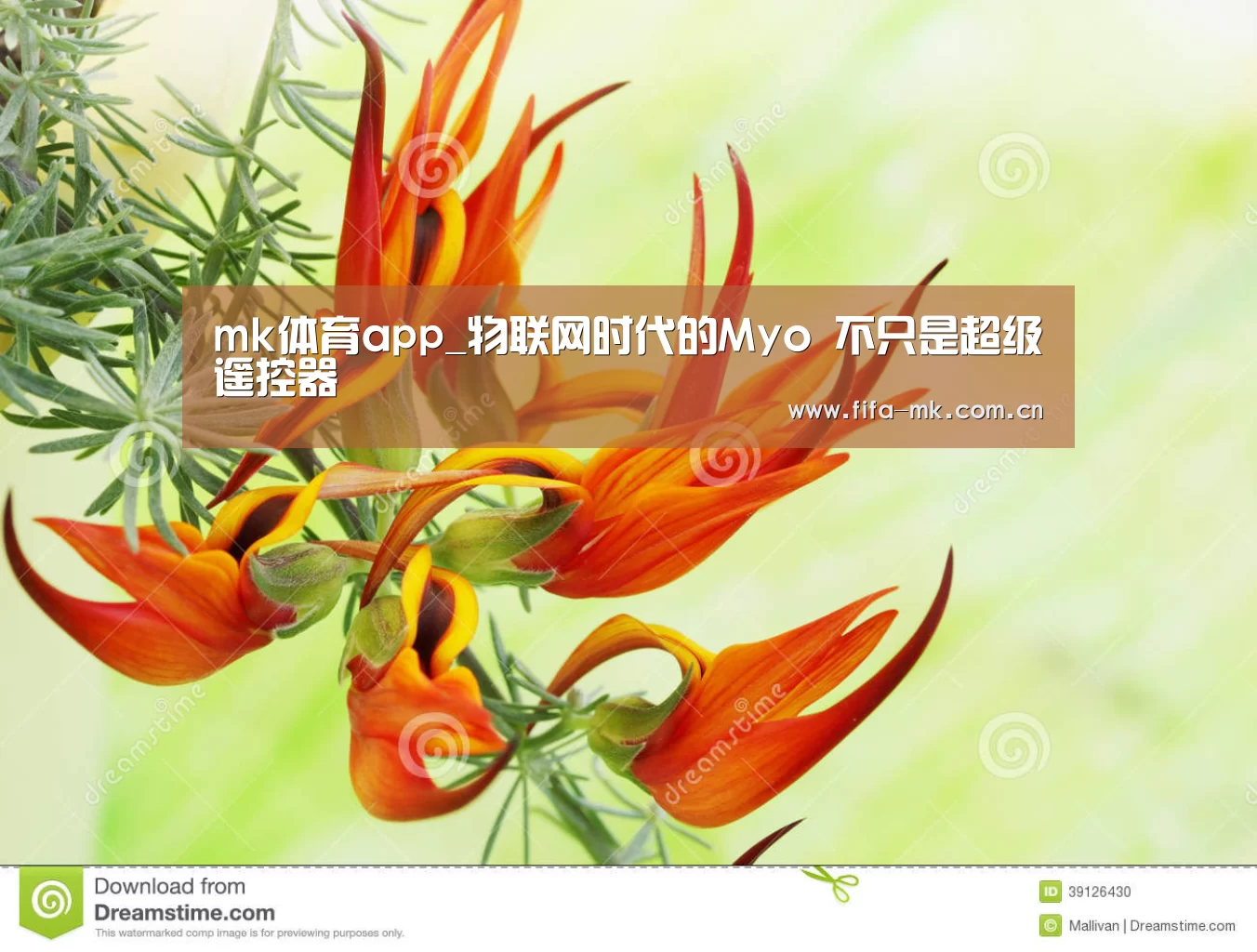 mk体育app_物联网时代的Myo 不只是超级遥控器(图3) mk体育Sports